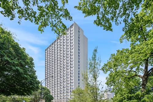 5100 N Marine Unit 20L, Chicago, IL 60640