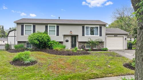 3104 Andrea, Woodridge, IL 60517