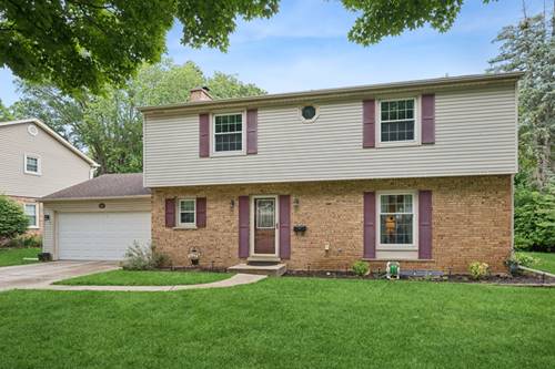 961 N Arrowhead, Palatine, IL 60074