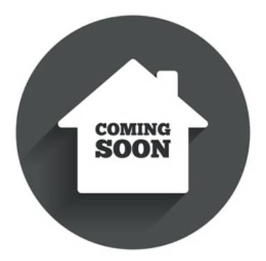 10100 S Wallace, Chicago, IL 60628