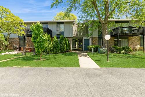 942 E Old Willow Unit 101, Prospect Heights, IL 60070