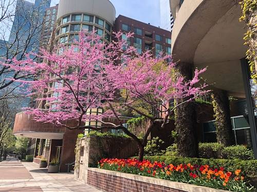 480 N Mcclurg Unit 807, Chicago, IL 60611