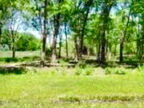 9911 E York House, Beach Park, IL 60087