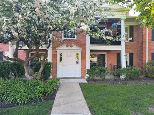 520 Shorely Unit 103, Barrington, IL 60010