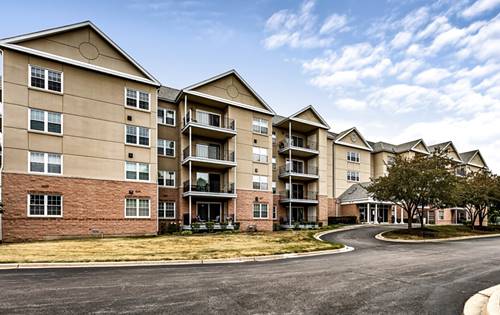13750 S Bristlecone Unit 408, Plainfield, IL 60544