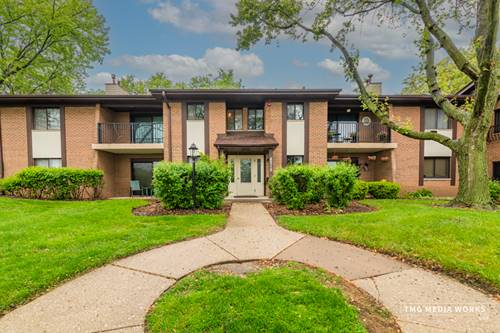 8212 Anchor Unit 501, Woodridge, IL 60517