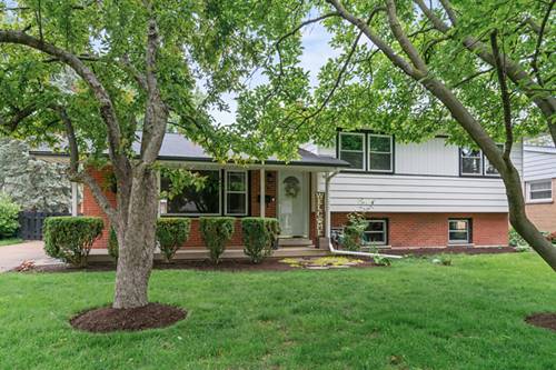 925 S Chestnut, Arlington Heights, IL 60005