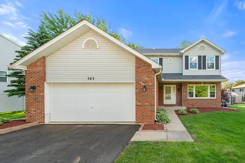 303 Chipmunk, Oswego, IL 60543