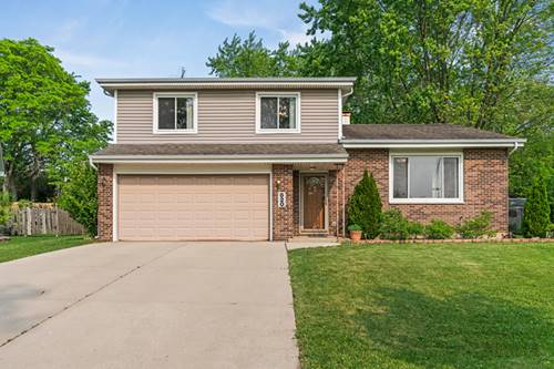 820 Cherry, Schaumburg, IL 60194