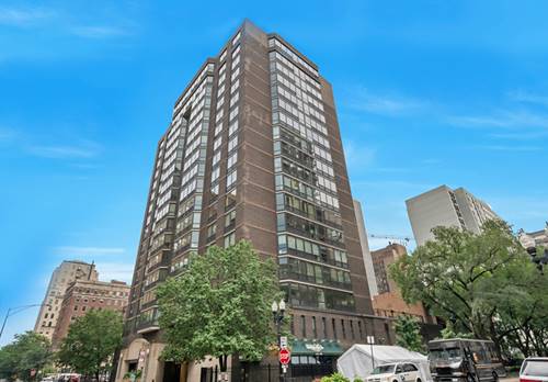 21 W Goethe Unit 16D, Chicago, IL 60610