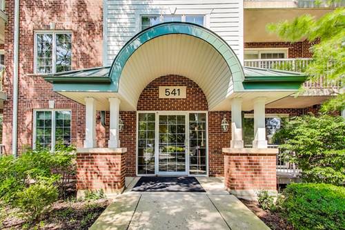 541 N Hough Unit 106, Barrington, IL 60010