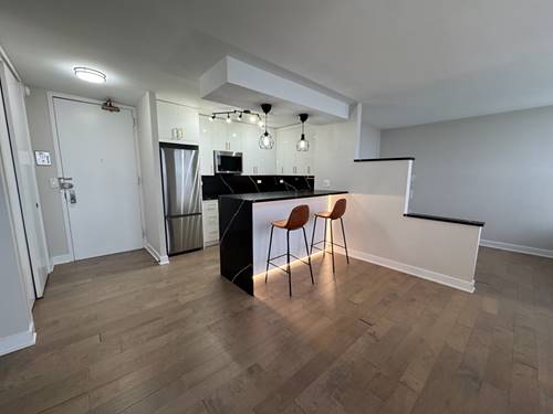 2626 N Lakeview Unit 3010, Chicago, IL 60614
