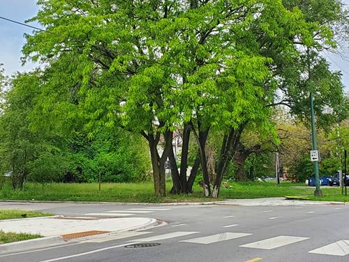 7100 S Princeton, Chicago, IL 60621