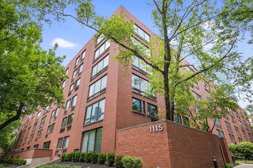 1115 S Plymouth Unit 102, Chicago, IL 60605