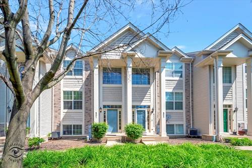 807 Summit Creek, Shorewood, IL 60404
