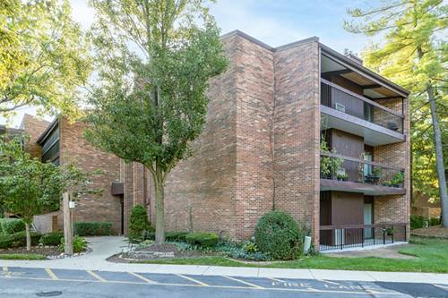 14515 Central Unit M3, Oak Forest, IL 60452