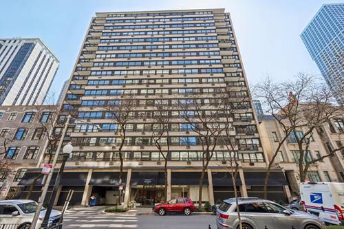 33 E Cedar Unit 11A, Chicago, IL 60611
