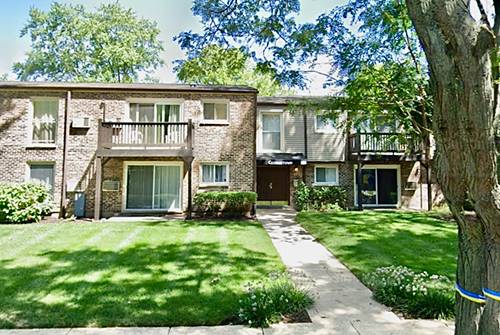 301 N Carter Unit 102, Palatine, IL 60067