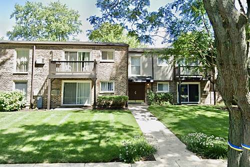 322 N Carter Unit 102, Palatine, IL 60067