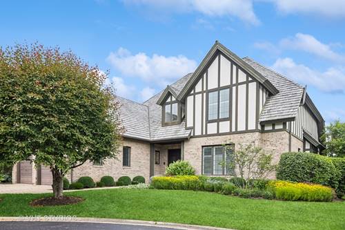 1101 Kenmare, Burr Ridge, IL 60527