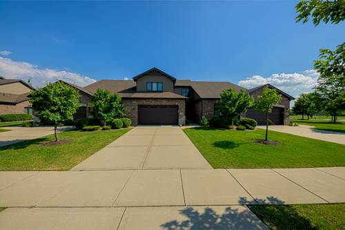 10749 Revere, Mokena, IL 60448