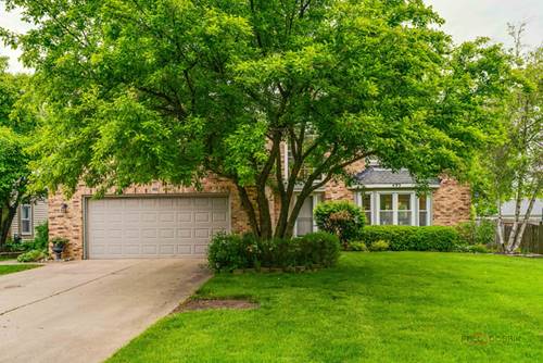 493 Thorndale, Buffalo Grove, IL 60089