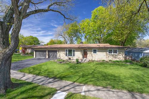 256 N Elmwood, Palatine, IL 60074