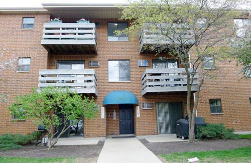 1367 N Winslowe Unit 204, Palatine, IL 60074