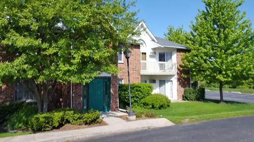 1341 Cunat Unit 1C, Lake In The Hills, IL 60156