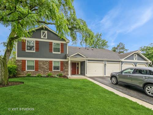 127 Wolcott Unit 2, Schaumburg, IL 60193
