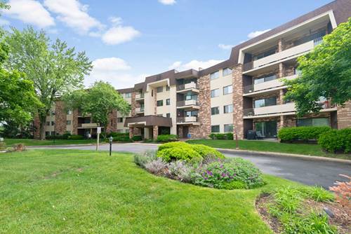 3350 N Carriageway Unit 208, Arlington Heights, IL 60004