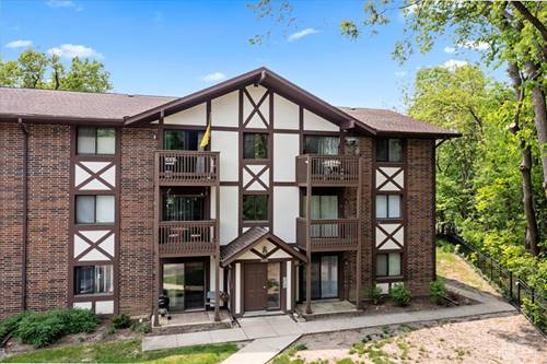 506 Taylor Unit A, Glen Ellyn, IL 60137