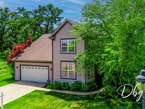1971 W Greenleaf, Round Lake, IL 60073