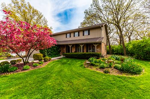 8229 Nueport, Willow Springs, IL 60480