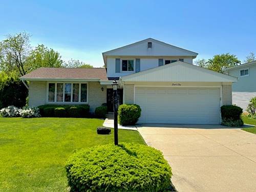 802 N Burning Bush, Mount Prospect, IL 60056