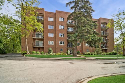 1653 River Unit 405, Des Plaines, IL 60016