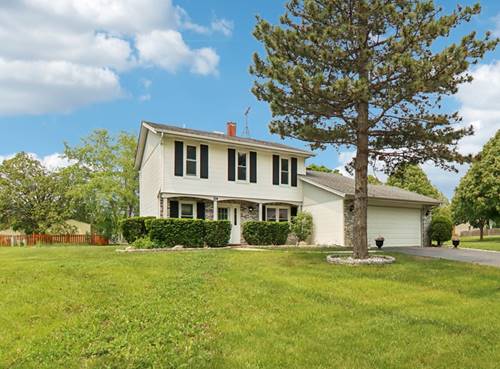 104 S Walnut, Schaumburg, IL 60193