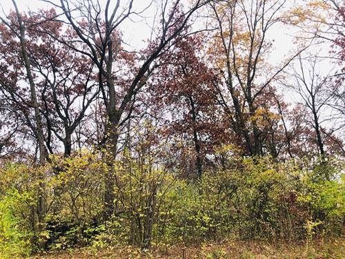 704 Echo (Lot 21), Marengo, IL 60152