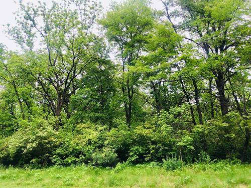 704 Echo (Lot 21), Marengo, IL 60152