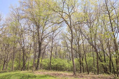 704 Echo (Lot 21), Marengo, IL 60152
