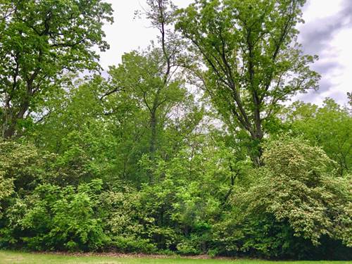 911 Echo (Lot 5), Marengo, IL 60152