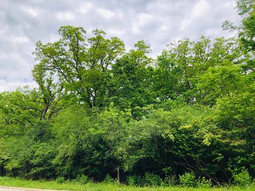802 Echo (Lot 23), Marengo, IL 60152