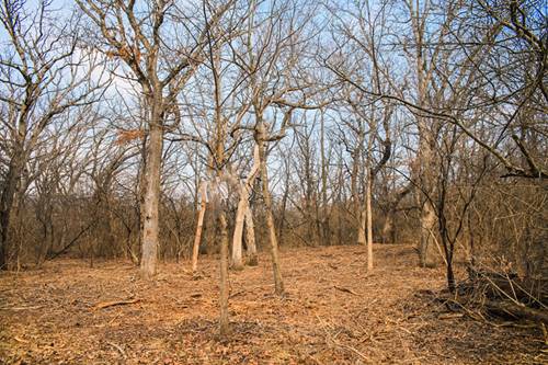 802 Echo (Lot 23), Marengo, IL 60152