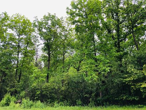 806 Echo (Lot 22), Marengo, IL 60152