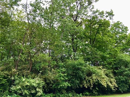 910 Echo (Lot 6), Marengo, IL 60152
