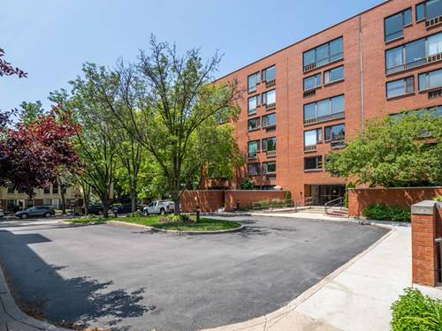 1143 S Plymouth Unit 407, Chicago, IL 60605