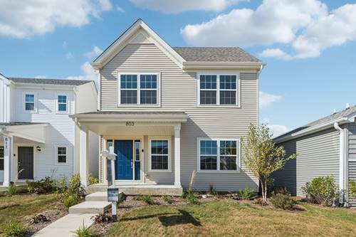 803 Station, Elburn, IL 60119