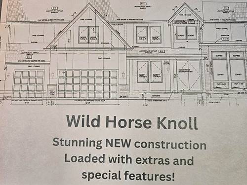 12029 S Stallion, Plainfield, IL 60585