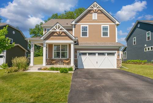21742 N Ashley, Kildeer, IL 60047