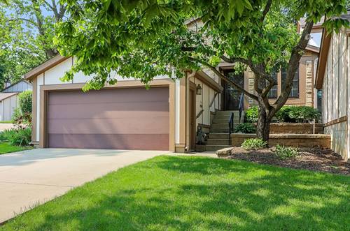 1149 Wheaton Oaks Unit 0, Wheaton, IL 60187